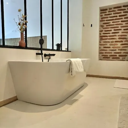 Le Jardin Secret - Piscine - Clim - De Gamme Apartament Albi