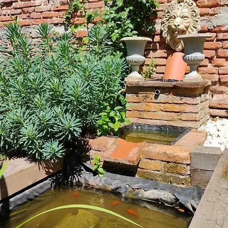 Le Jardin Secret - Piscine - Clim - De Gamme Apartament Albi