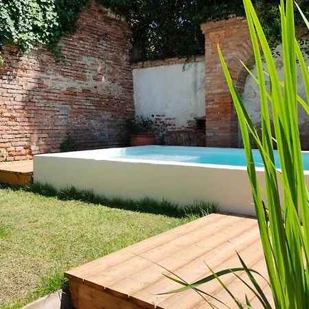 Daire Le Jardin Secret - Piscine - Clim - De Gamme Albi