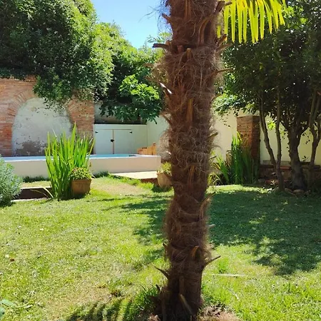Le Jardin Secret - Piscine - Clim - De Gamme