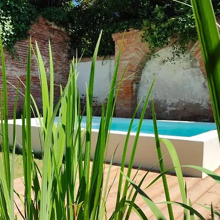 Le Jardin Secret - Piscine - Clim - De Gamme Apartamento *